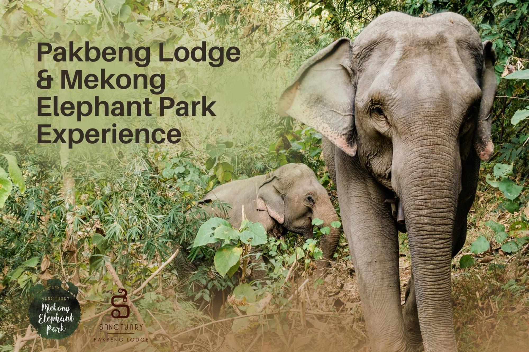 The Sanctuary Pakbeng Lodge Eksteriør bilde